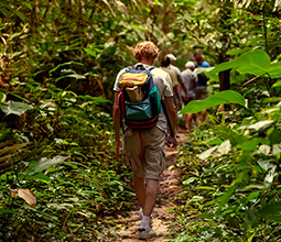 Trekking in the jungle